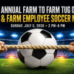 Tug of war and soccer match