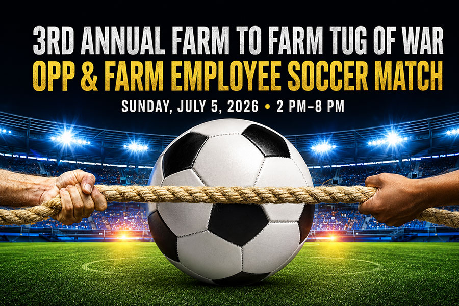 Tug of war and soccer match